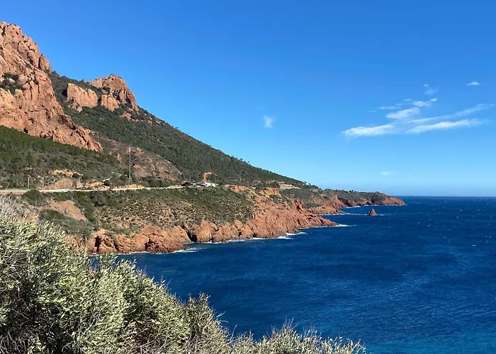 アパート Piscine Et Pinede - Wifi