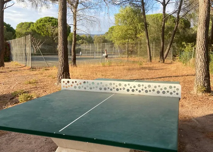 Piscine Et Pinede - Wifi Saint-Raphaël