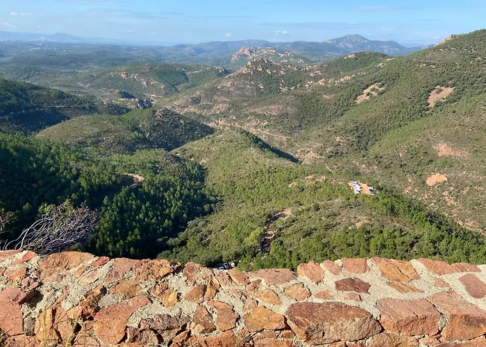 アパート Piscine Et Pinede - Wifi