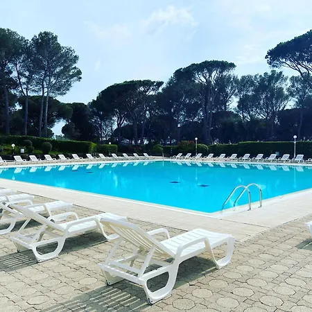 Piscine Et Pinede - Wifi