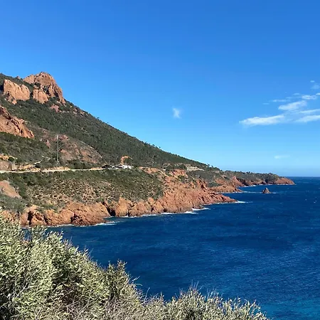 Apartamento Piscine Et Pinede - Wifi