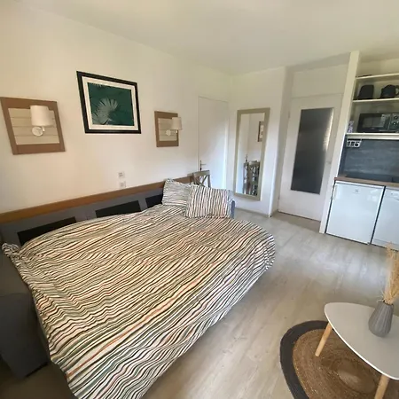 Piscine Et Pinede - Wifi Saint-Raphaël