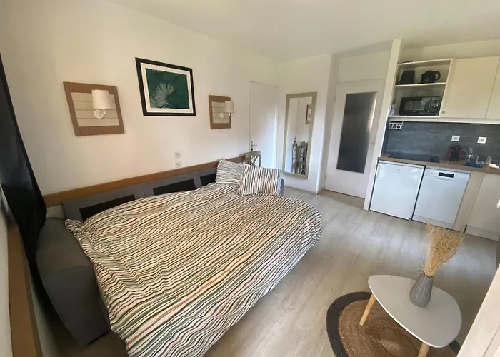 Piscine Et Pinede - Wifi Saint-Raphaël